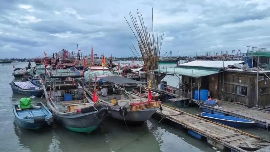广东陆丰：农业农村局联合多部门强制渔民渔船报废，巨额补偿款便宜了谁？？？