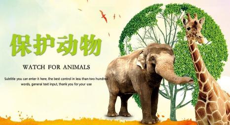 如果不保护弱者，下一个被残害的就会是你