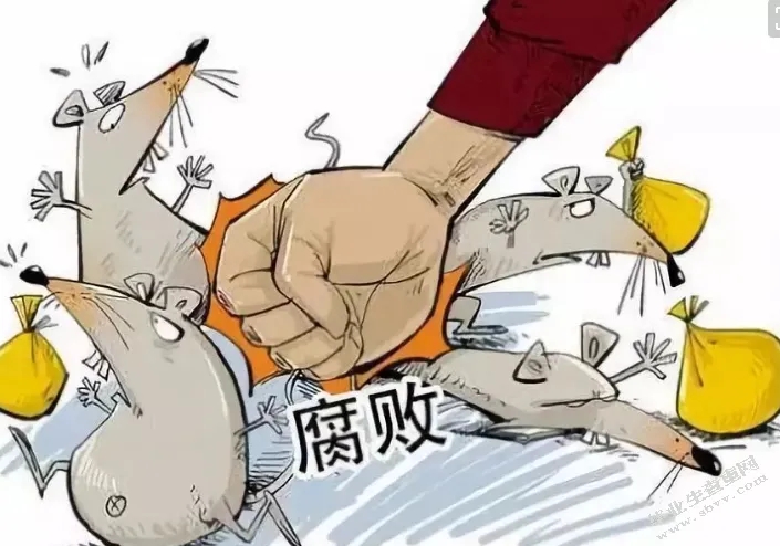 别拿村长不当干部
