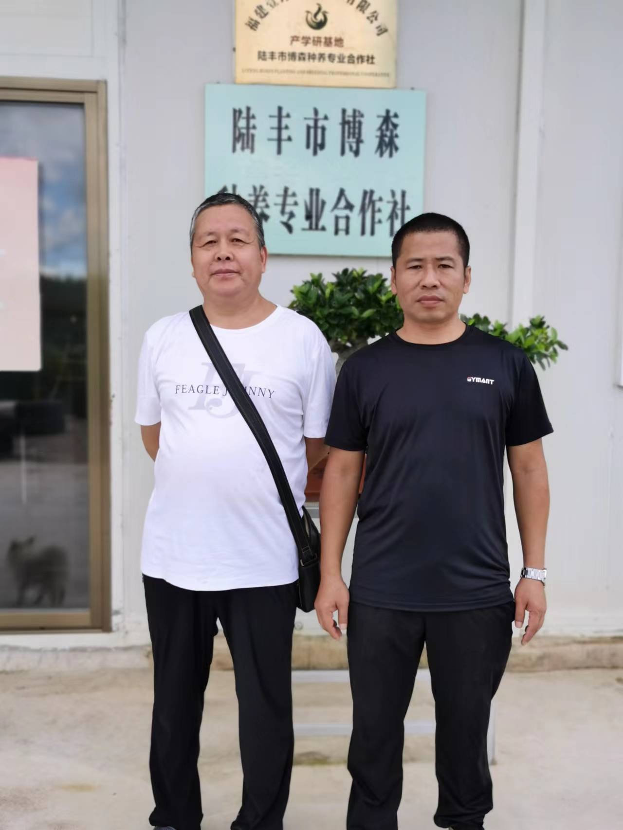 广东陆丰：镇政府故意放任违法占地造坟