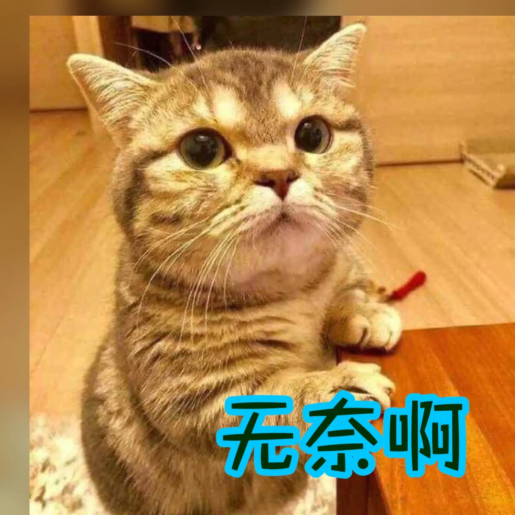 这不是一个正经的所在