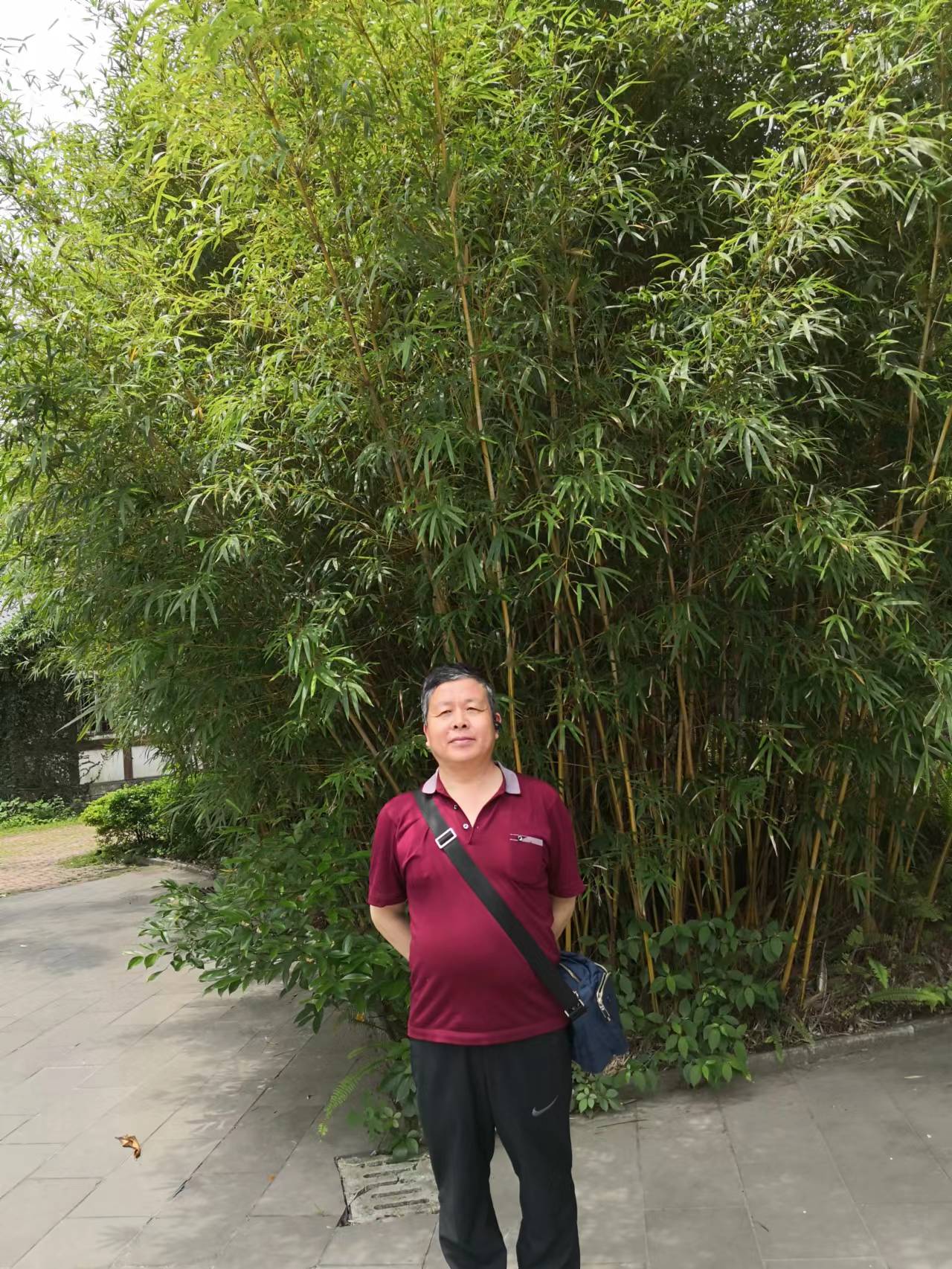 又见竹林