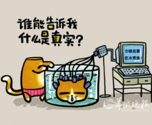 中国人，挺直你的腰杆！