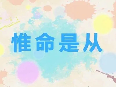 惟命是从的法官绝对不会是好法官