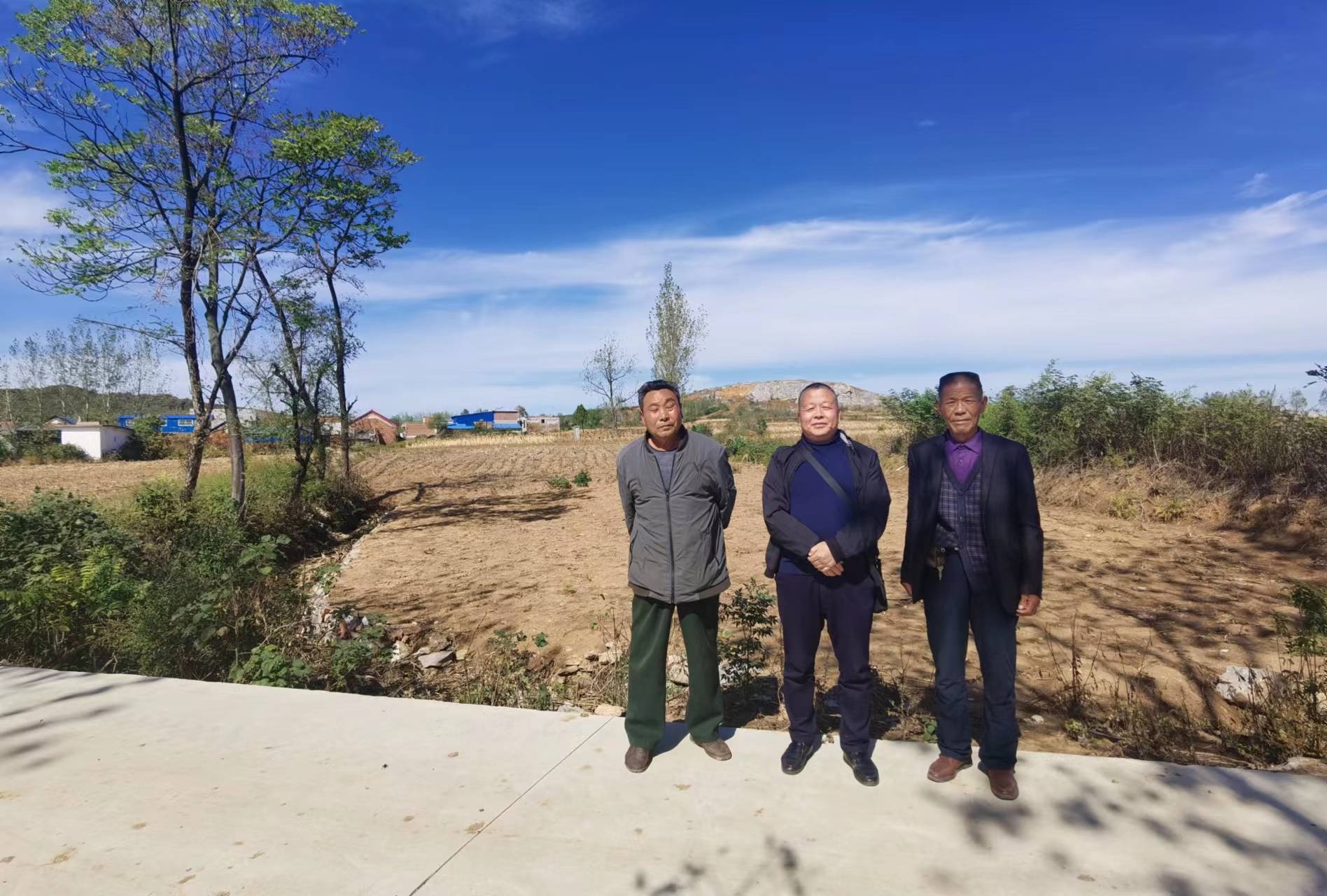 自然资源和规划局不依法查处，市政府责令依法作出处理