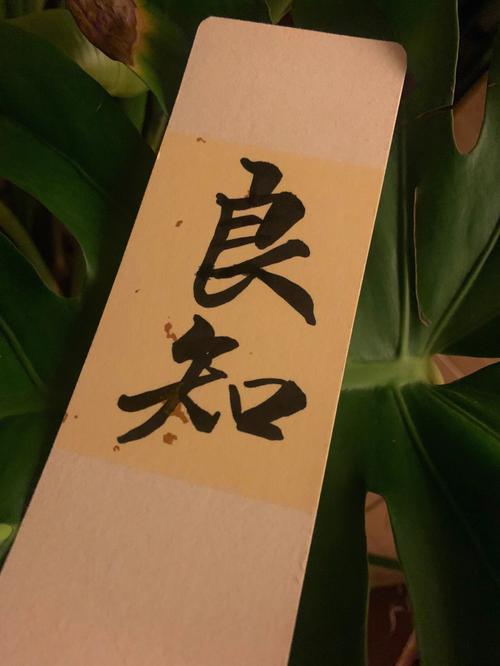 没有良知的司法工作人员才故弄玄虚