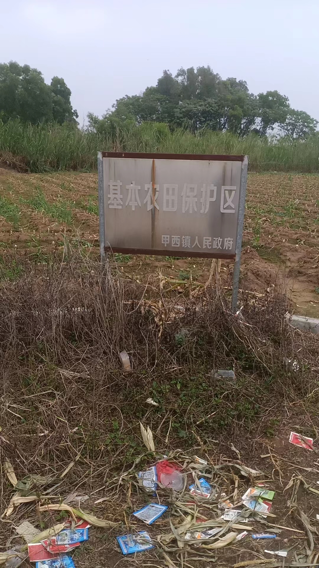 人民网地方领导留言板交办的问题被镇政府隐瞒