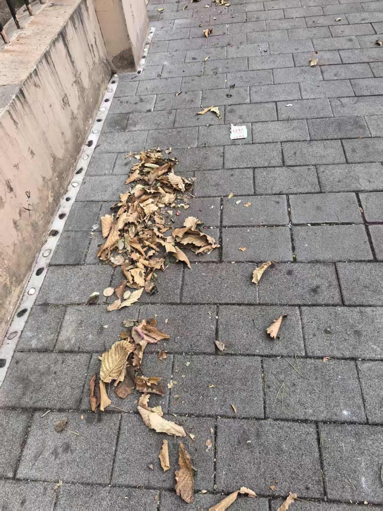 冰城的狂风(图3) 冰城的狂风(图3)